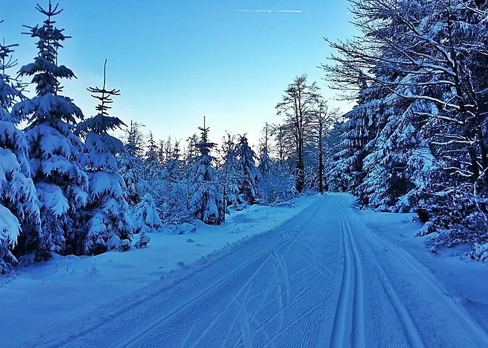 Kunstpark Reinhardsbrunn Friedrichroda