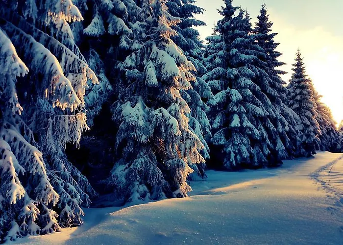 Kunstpark Reinhardsbrunn * Friedrichroda