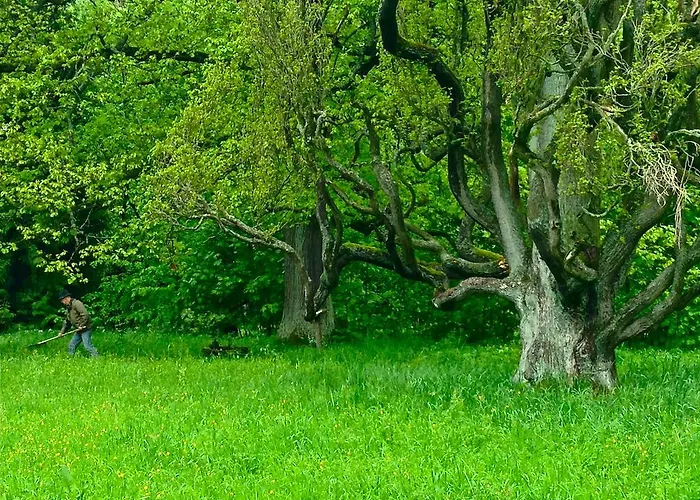 Ferienhaus Kunstpark Reinhardsbrunn *
