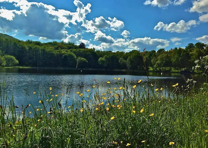 Ferienhaus Kunstpark Reinhardsbrunn Friedrichroda