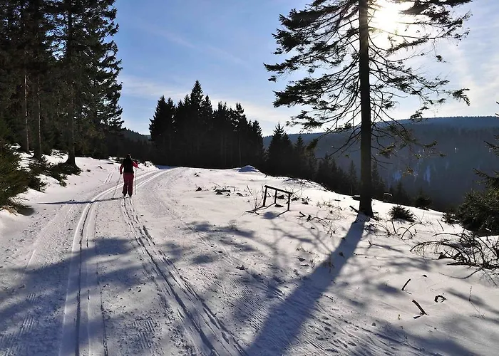Feriehus Kunstpark Reinhardsbrunn